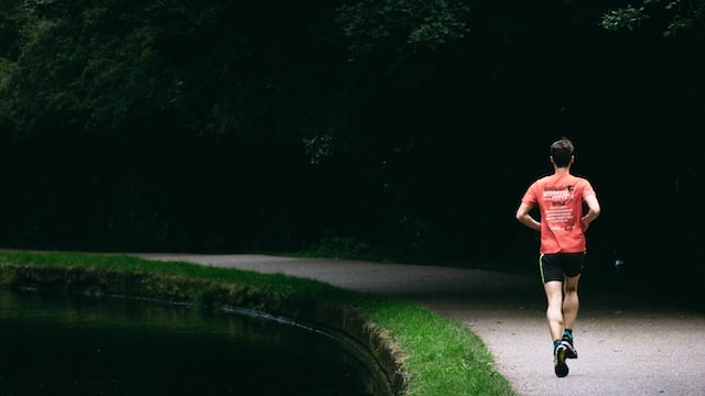 Debunking the Myth of the Fat Burning Zone: What You Need to Know